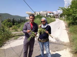 أنا وحمودي والحمّص الأخضر في قرية الغنيمية بجل الأكراد